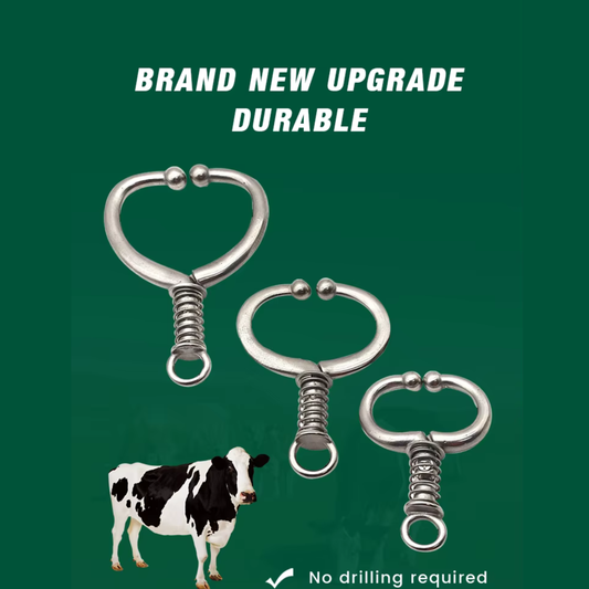 🔴 Deal 3 — Mega Deal (Mega Saver) 2 Small + 3 Large = 5100