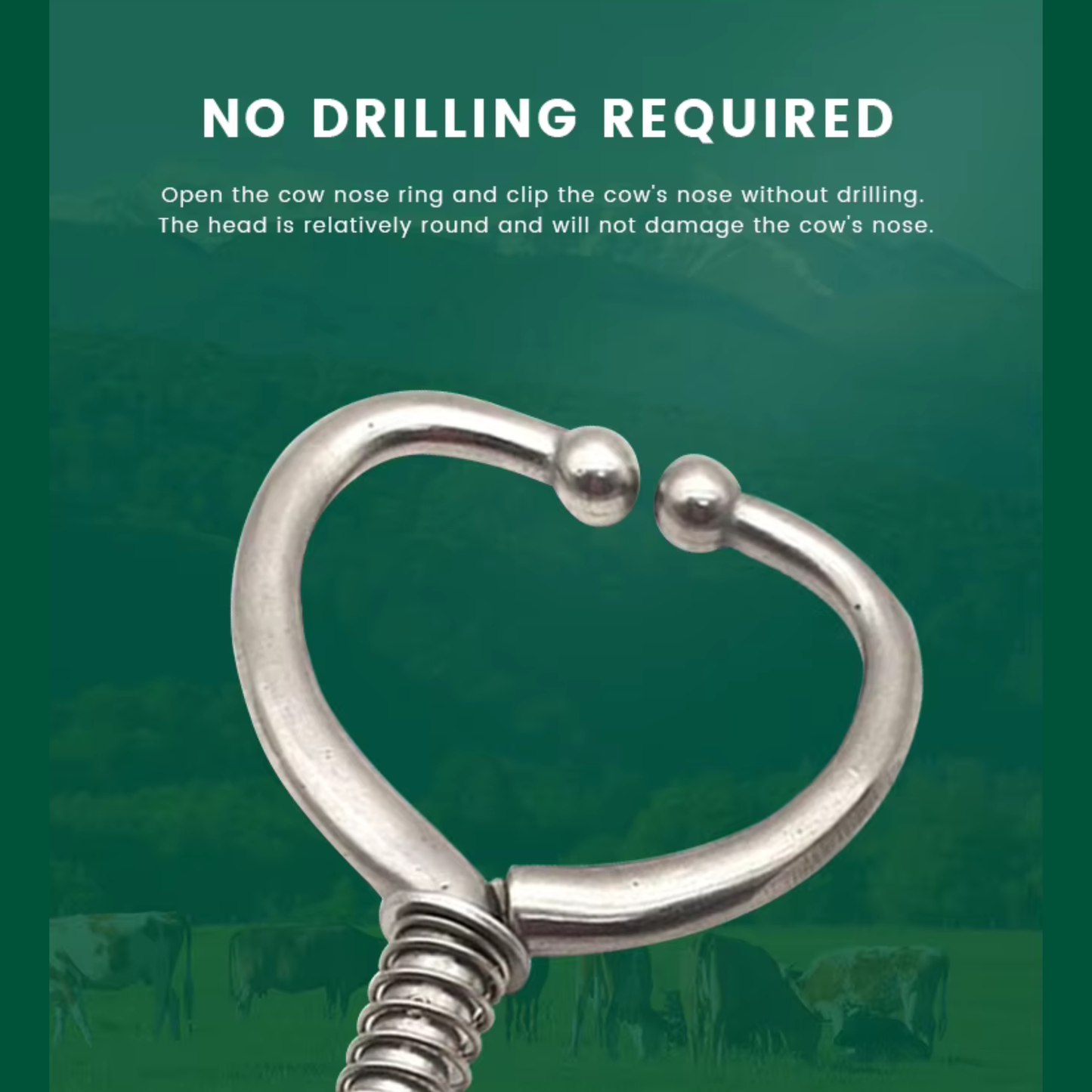 Cattle Nose Ring (china) large