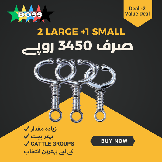 🔵 Deal 2 — Value Deal (Combo) 	1 Small + 2 Large = 3450